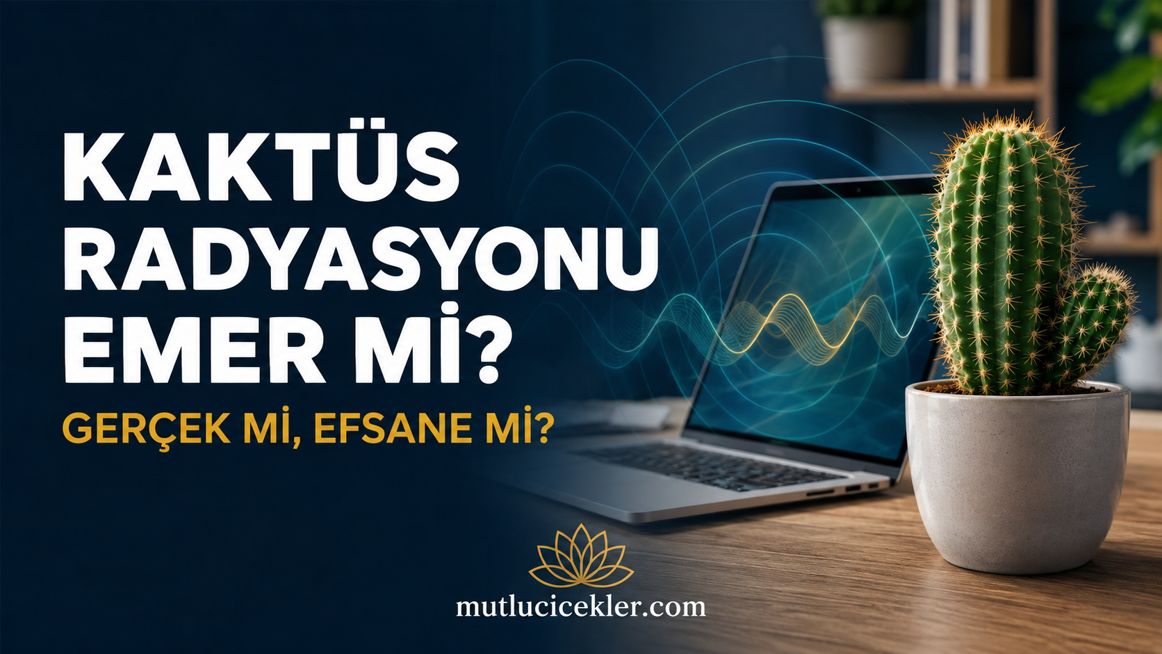 Kaktüs Radyasyonu Emer mi? Bilimsel Gerçekler ve Yanlış Bilinenler