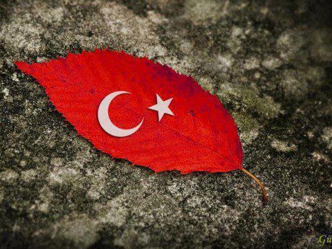 23 Nisan Kutlu Olsun…