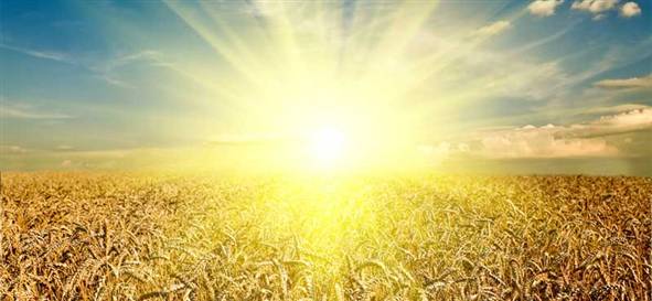 2014 Yıllık Blog Raporu: İstatistikler ve Analiz