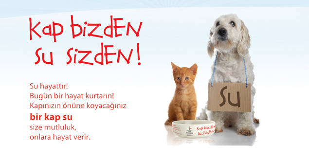 Sevimli Dostlarımız için “BİR KAP SU”