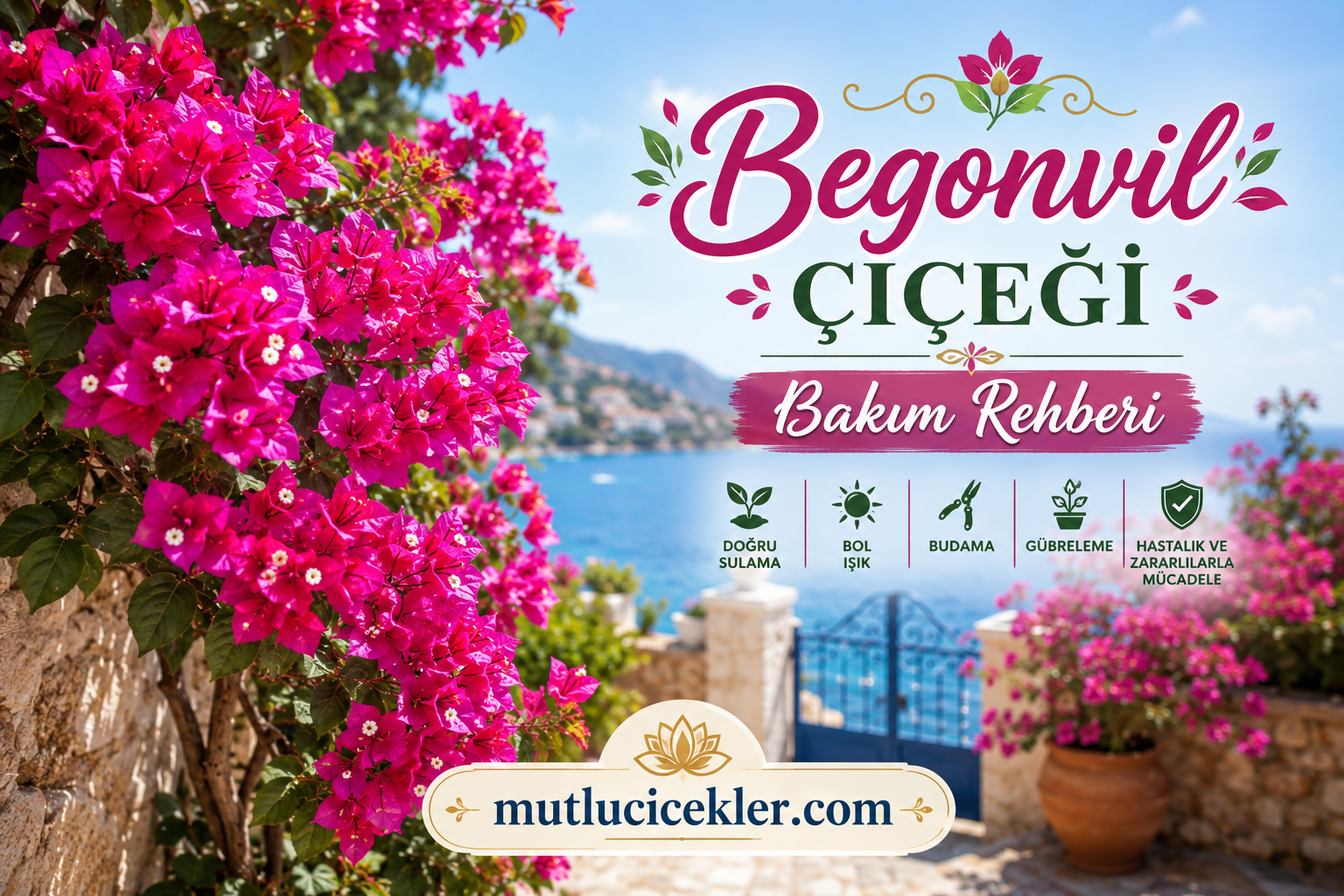 Begonvil Çiçeği Bakım Rehberi🌸
