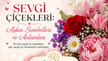 Sevgi Çiçekleri ve Anlamları