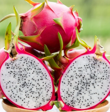 Ejder Meyvesinin Faydaları Nelerdir?