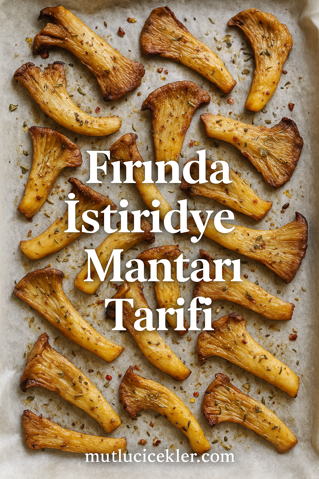 🍄 Fırında İstiridye Mantarı Tarifi