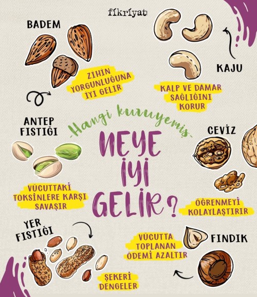 Kuruyemişlerin Sağlık Faydaları: Doğal Şifa Kaynağı