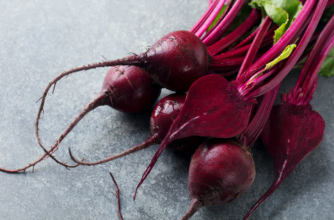 🏡 Evde Pancar Yetiştirme Rehberi