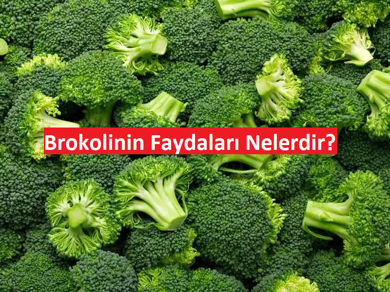 Brokolinin Faydaları Nelerdir?