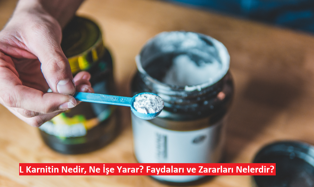 L Karnitin Nedir, Ne İşe Yarar? Faydaları ve Zararları Nelerdir?