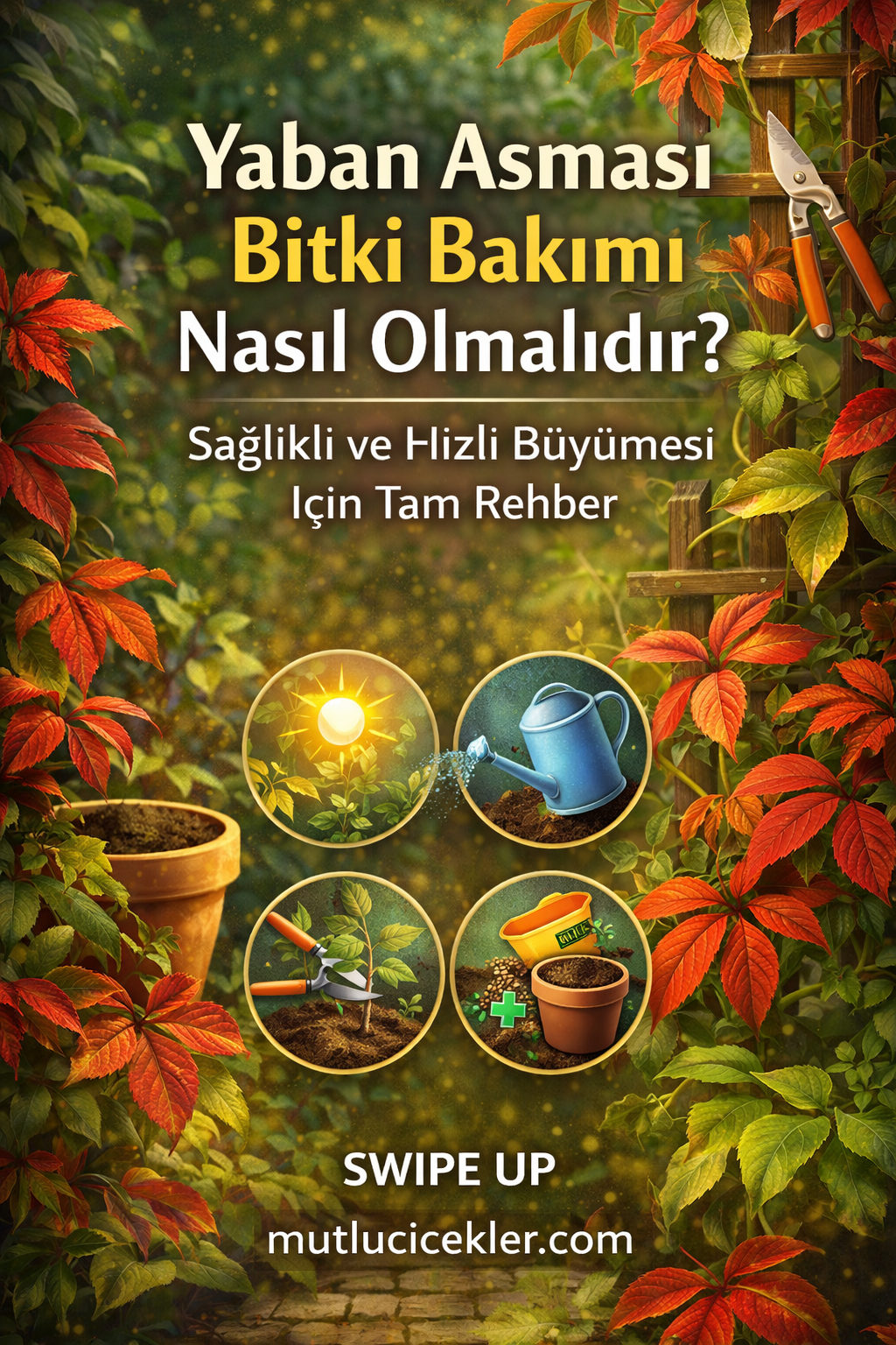 🌿 Yaban Asması Bitki Bakımı Nasıl Olmalıdır? Sağlıklı ve Hızlı Büyümesi İçin Tam Rehber