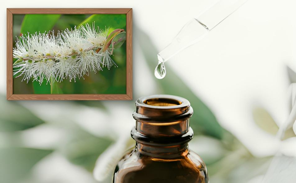 Nioli Yağı Nedir? Nioli Yağı Faydaları Nelerdir?