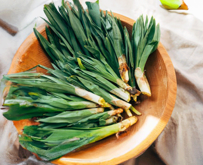 Çiriş Otu Nedir? Faydaları ve Kullanım Alanları