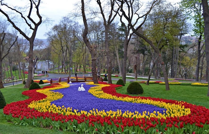 İstanbul’un Meşhur Çiçekleri Nelerdir?