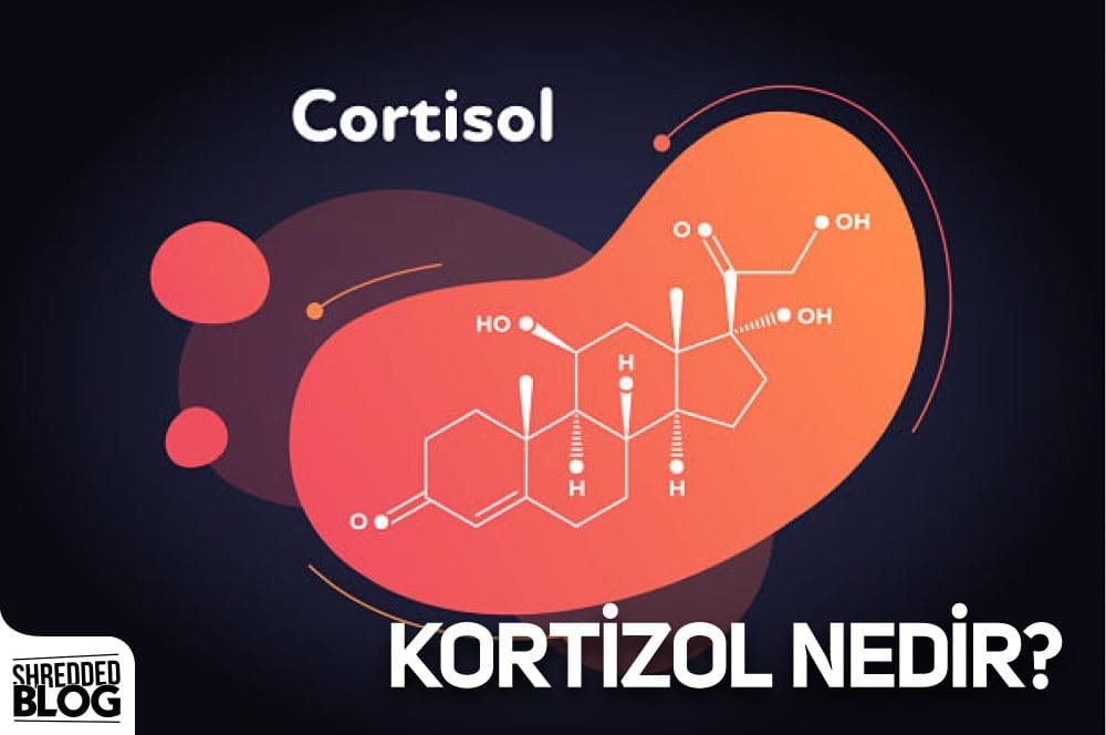 Kortizol Nedir? Kortizol Ne İşe Yarar?
