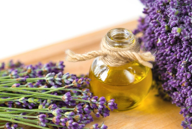 Lavanta Yağının Faydaları ve Kullanım Alanları