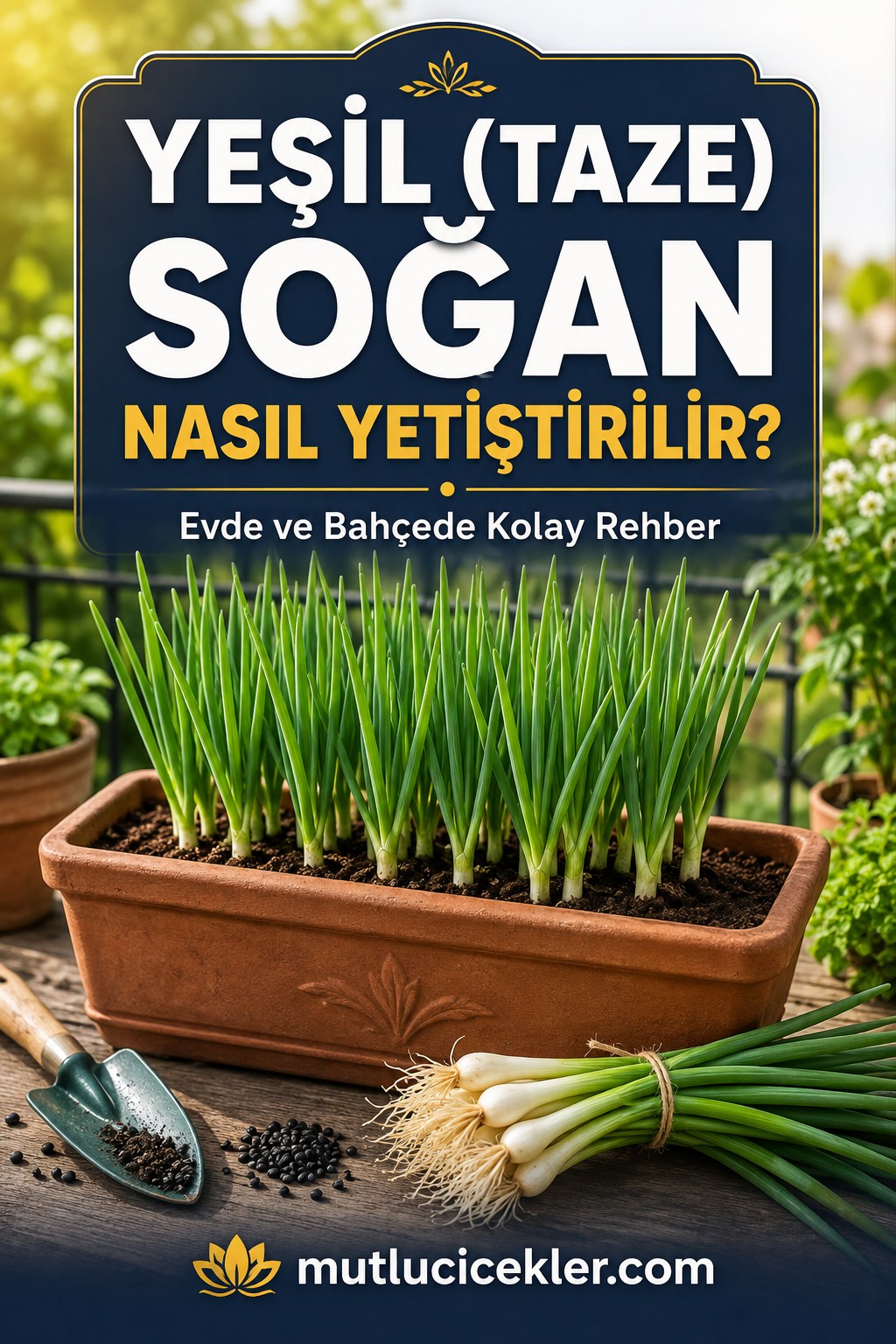 Evde taze yeşil soğan yetiştirme rehberi