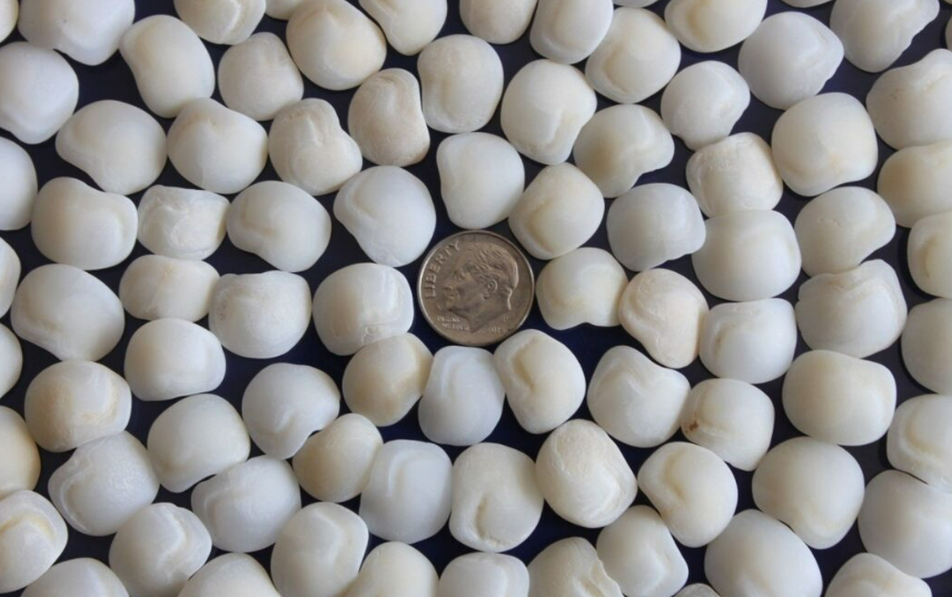 Eşkina Taşı Faydaları Nelerdir?