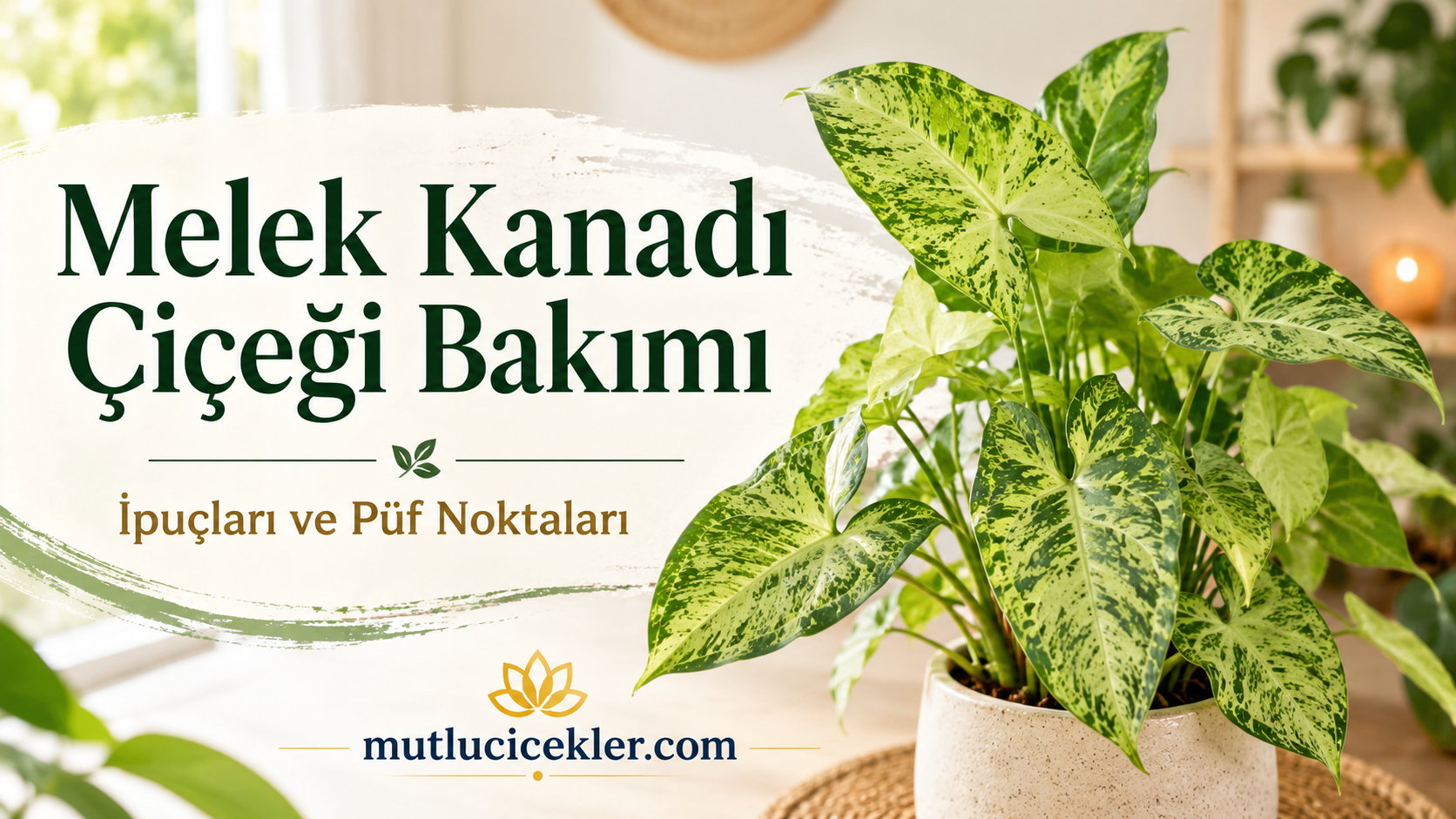 Melek Kanadı Çiçeği Bakımı: İpuçları ve Püf Noktaları