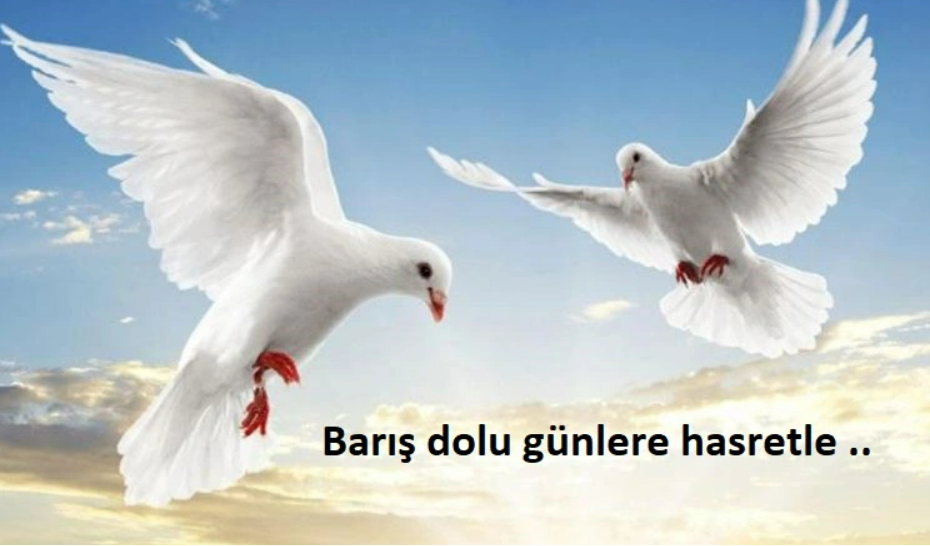 Barış Dolu Günlere Hasretle ..