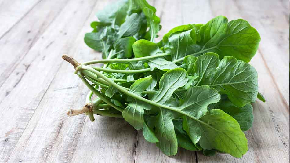 🥬 Rokanın Faydaları Nelerdir? | Sağlığınız İçin Mucize Sebze