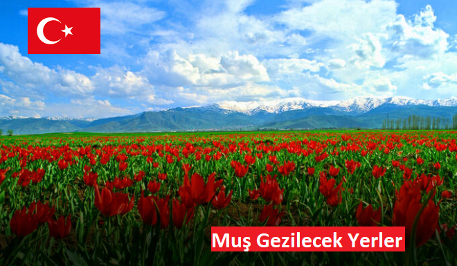 🌄 Muş Gezi Rehberi: Doğu’nun Sessiz Cenneti