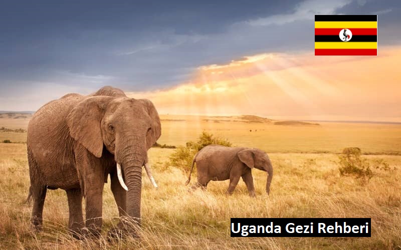 Uganda Gezi Rehberi