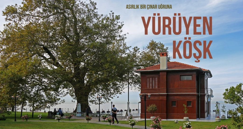 Yürüyen Köşk ve büyük bir çınar ağacı, etrafında insanlar ve yeşil alanlar.