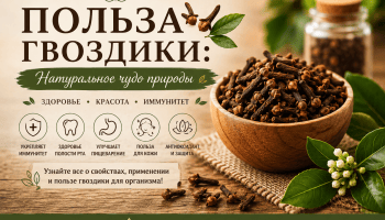Польза гвоздики: Натуральное чудо природы
