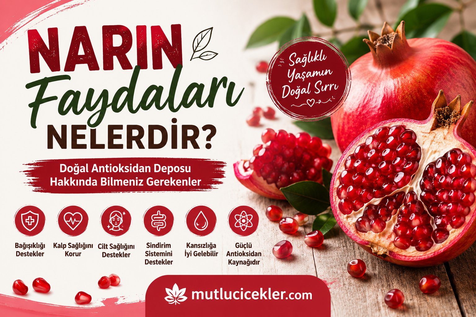 Narın Faydaları Nelerdir? Doğal Antioksidan Deposu Hakkında Bilmeniz Gerekenler