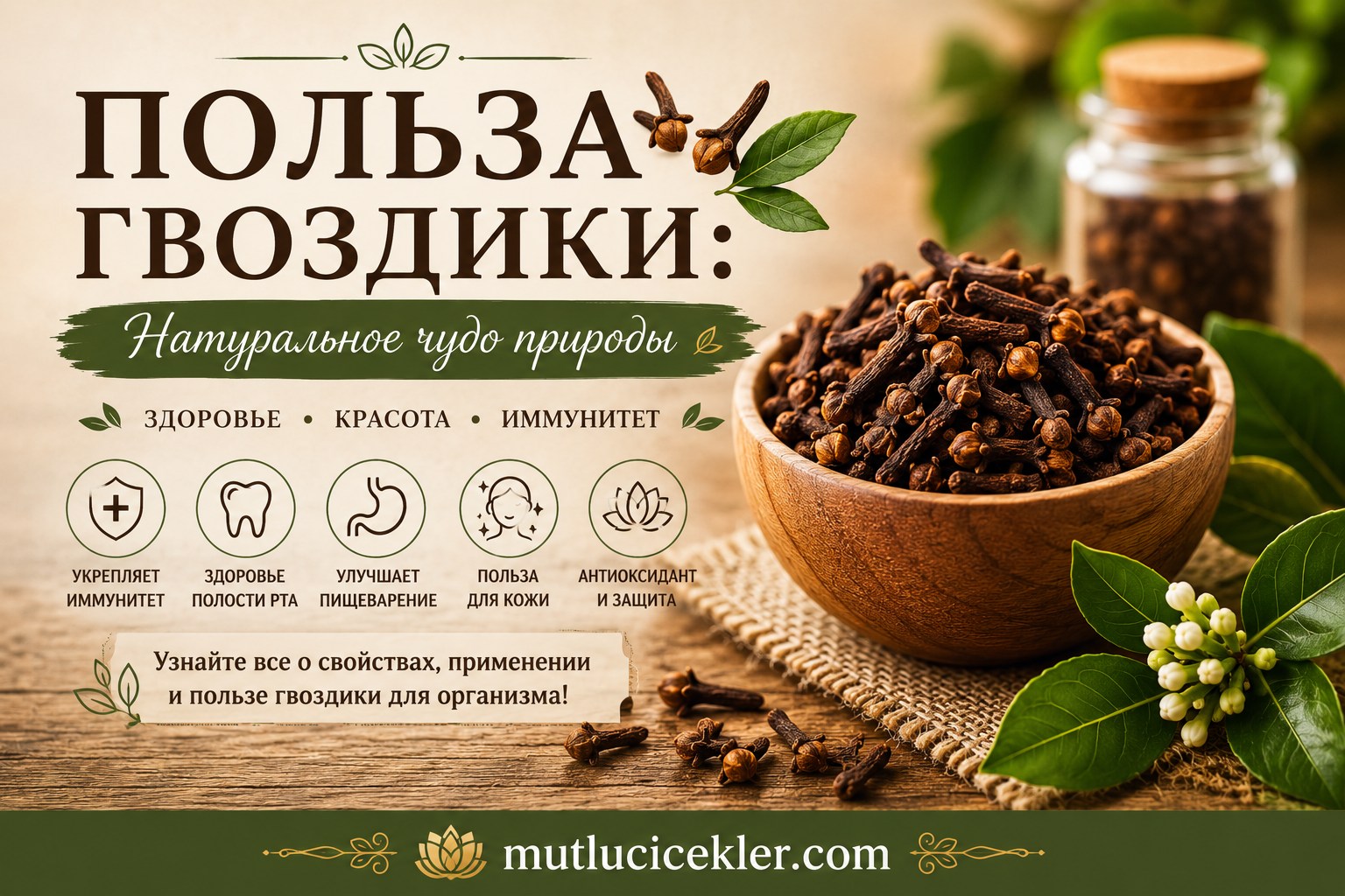 Польза гвоздики: Натуральное чудо природы