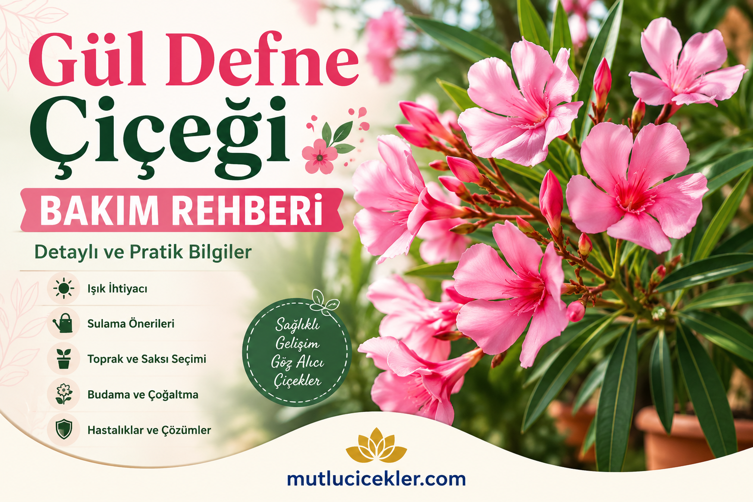 Gül Defne Çiçeği Bakım Rehberi: Detaylı ve Pratik Bilgiler