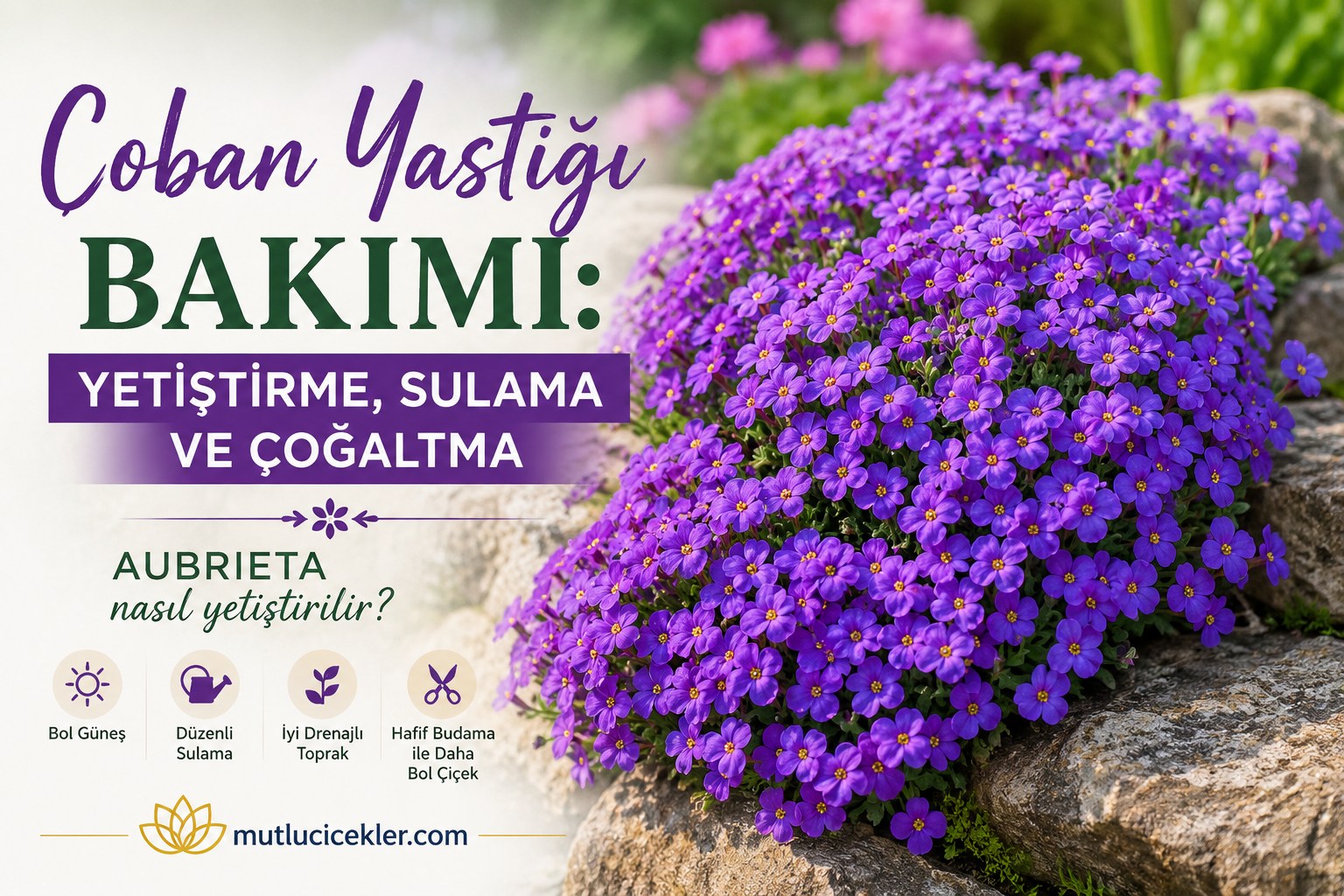coban-yastigi-bakim-rehberi