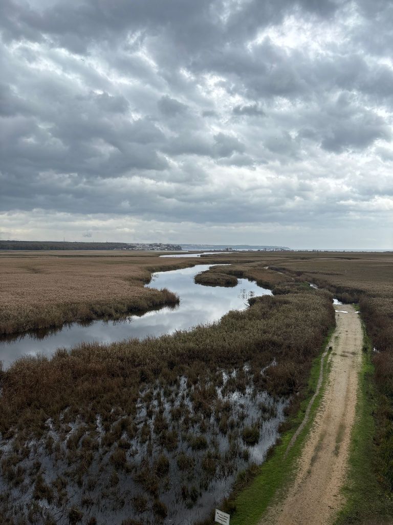 Gri bulutlarla kaplı gökyüzü altında uzun bir su kanalı ve etrafında yüksek otların yer aldığı doğal bir manzara.