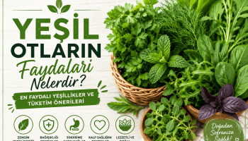 Yeşil Otların Şifalı Dünyası