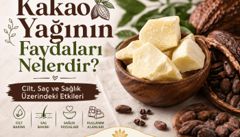 Kakao Yağının Faydaları