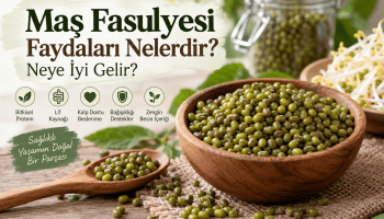 Maş fasulyesi faydaları ve besin değeri