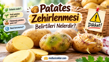 Patates Zehirlenmesi Belirtiler ve Korunma