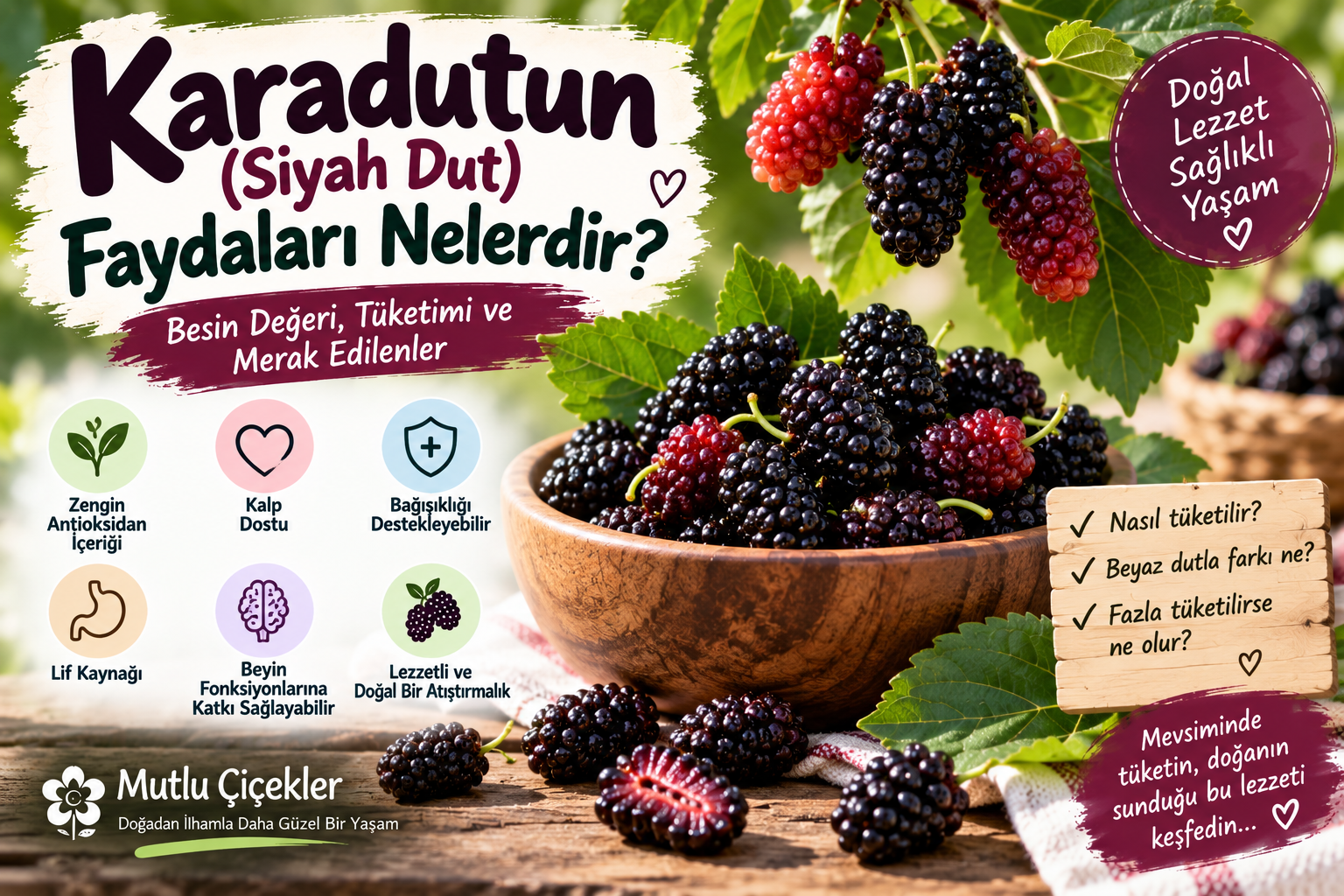Karadutun (Siyah Dut) Faydaları Nelerdir?