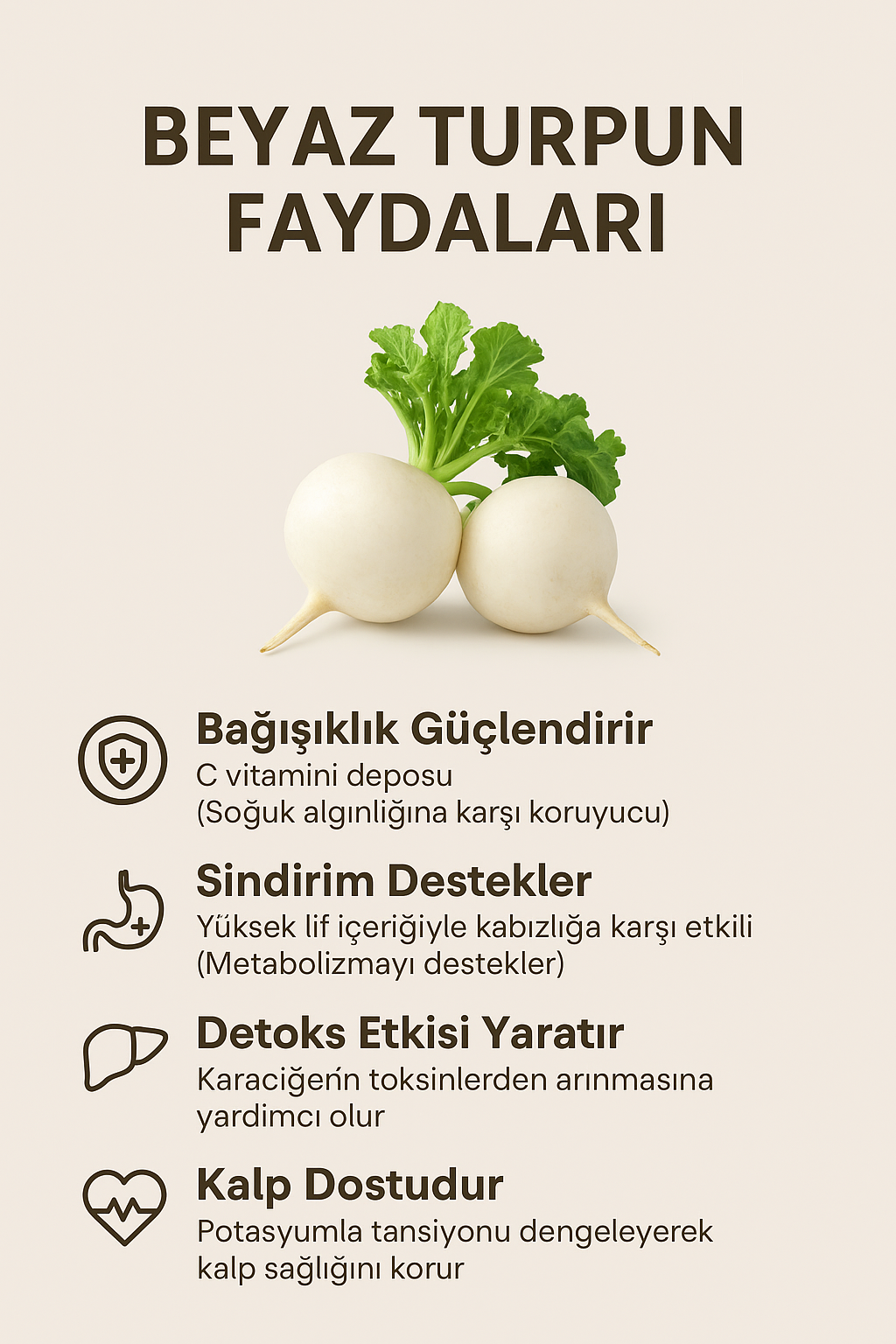 🥗 Beyaz Turpun Faydaları Nelerdir? Şifa Deposu Sebzeyi Keşfedin!