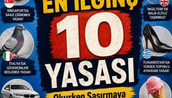 Dünyanın En İlginç 10 Yasası