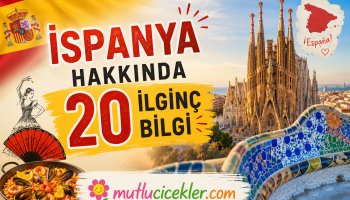 İspanya hakkında ilginç bilgiler