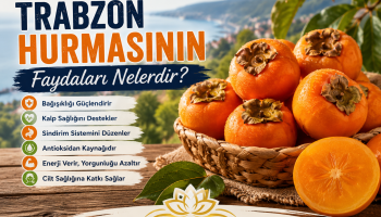 Trabzon hurması faydaları ve sağlığı