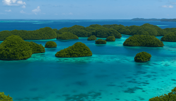 Palau Gezi Rehberi:
