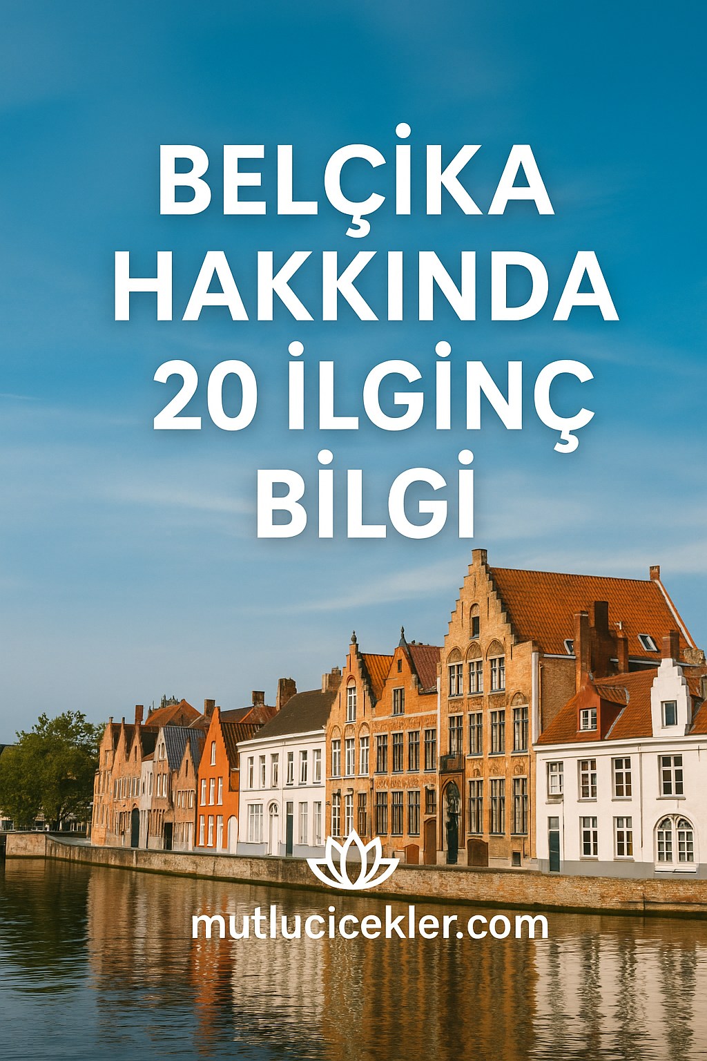 belçika ilginç bilgiler