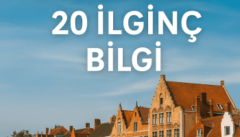 belçika ilginç bilgiler