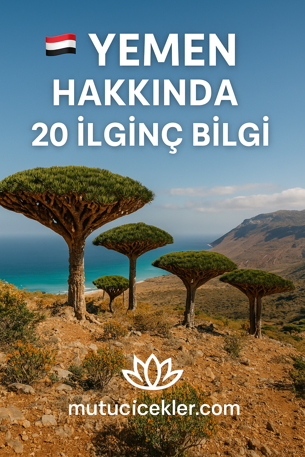 🇾🇪 Yemen Hakkında 20 İlginç Bilgi