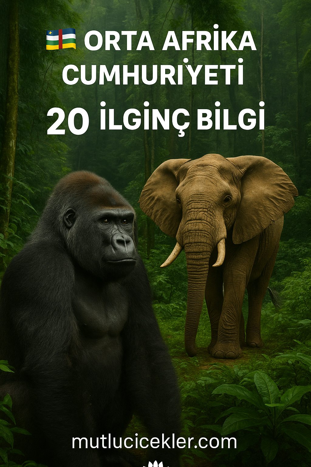 🇨🇫 Orta Afrika Cumhuriyeti Hakkında 20 İlginç Bilgi