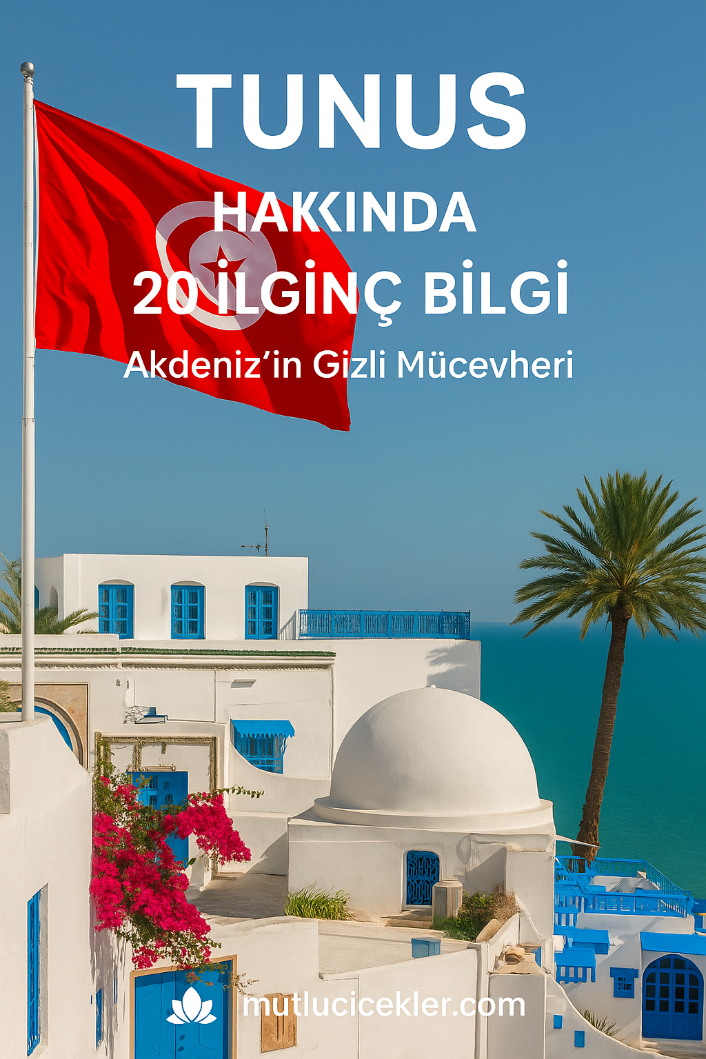 🇹🇳 Tunus Hakkında 20 İlginç Bilgi: Akdeniz’in Gizli Mücevheri