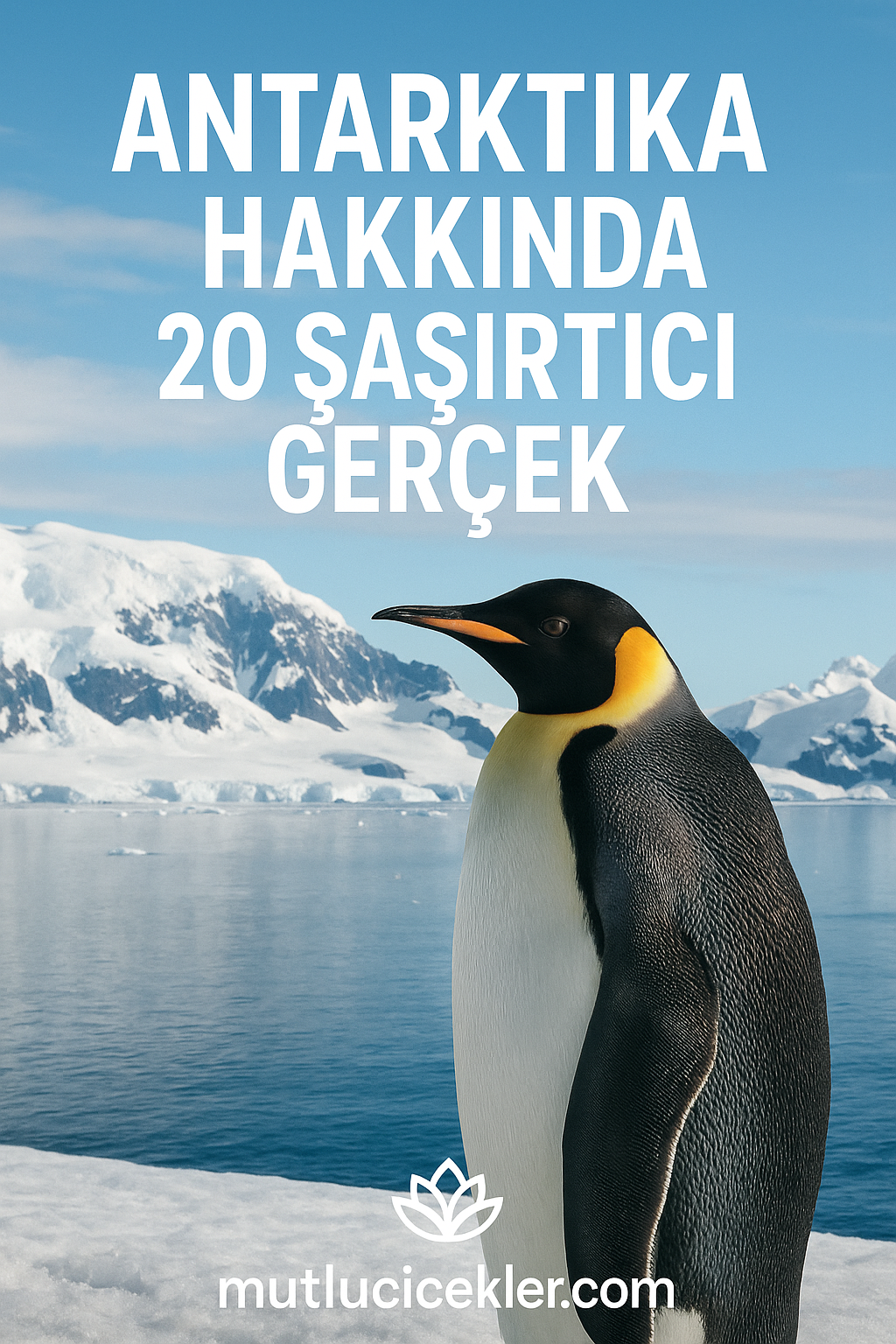 🧊 Antarktika Kıtası Hakkında 20 Şaşırtıcı Gerçek