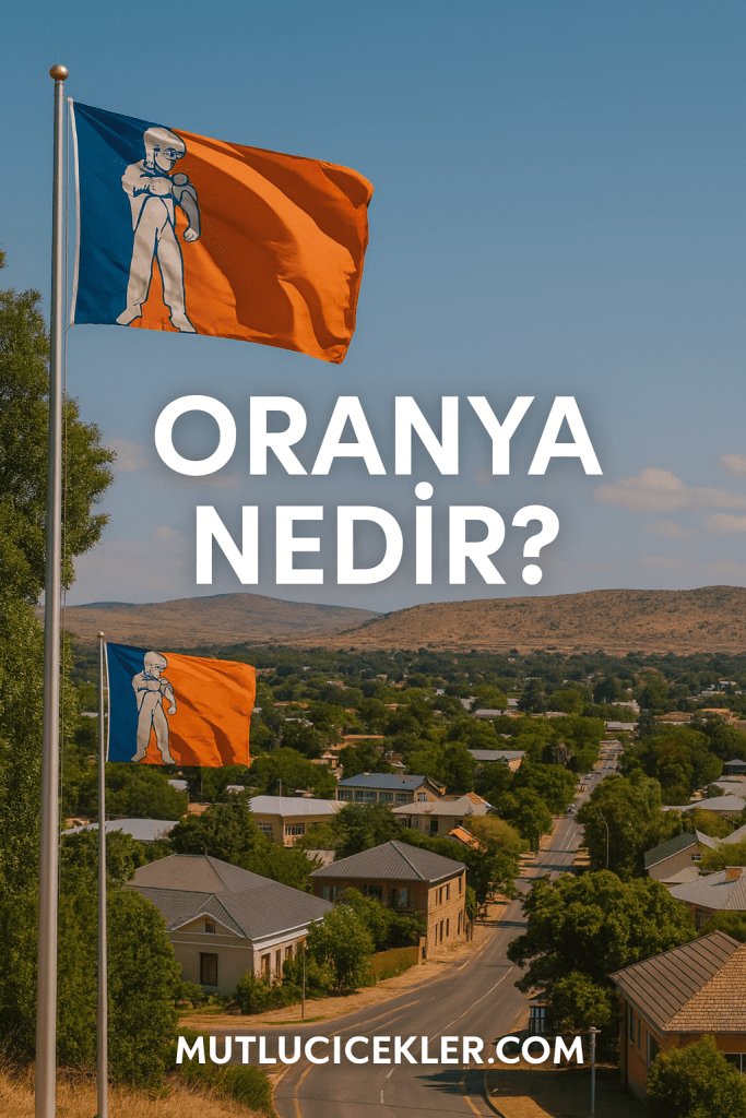 Oranya'nın manzarası ile ön planda dalgalanan bayraklar; mavi ve turuncu renkte, kasaba sokakları ve evlerin görünümü.