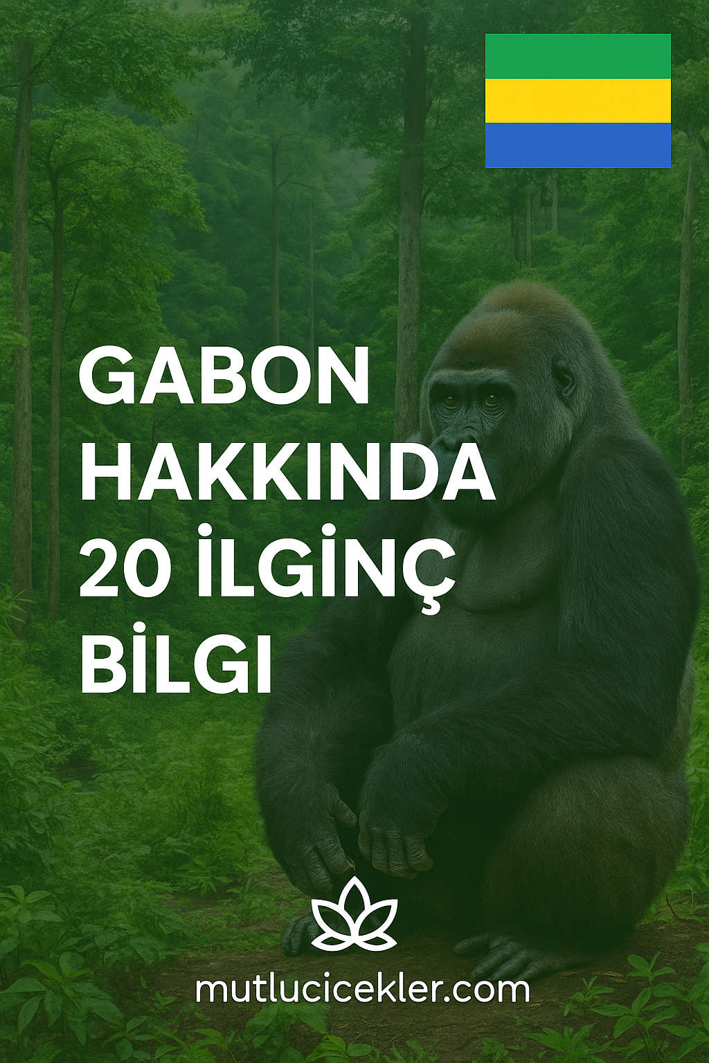 🇬🇦 Gabon Hakkında 20 İlginç Bilgi: Afrika’nın Yeşil Kalbi